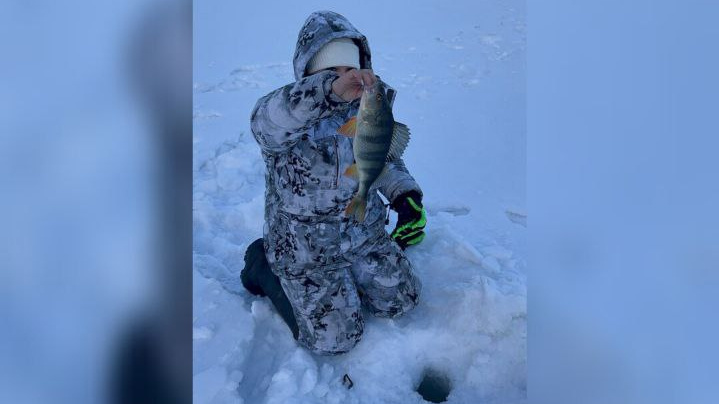    Фото: предоставлено "Вестям-Томск" Ксенией