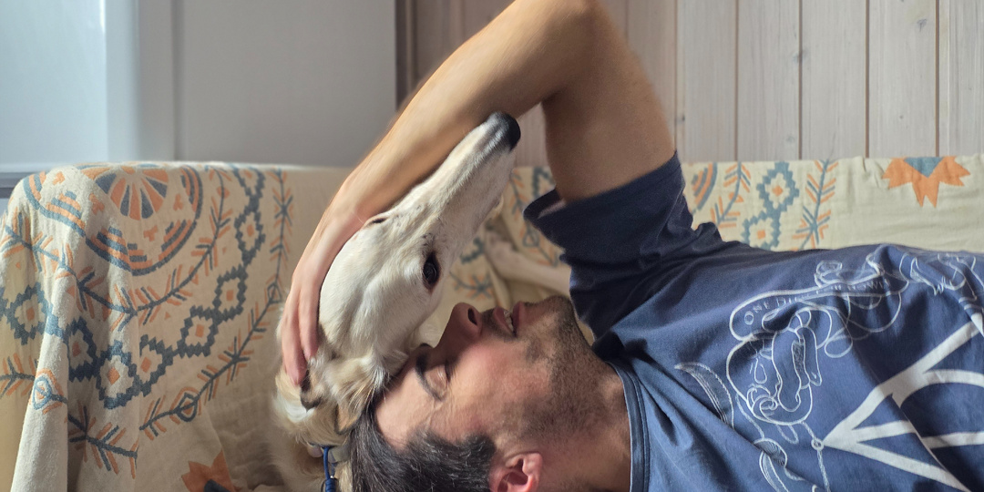 Должна ли собака быть благодарна за спасение? Как нас Волкодавушка кусала