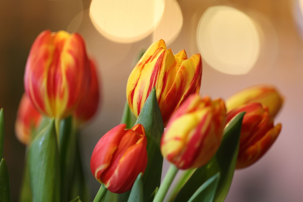  © Павел Орловский, Times.by