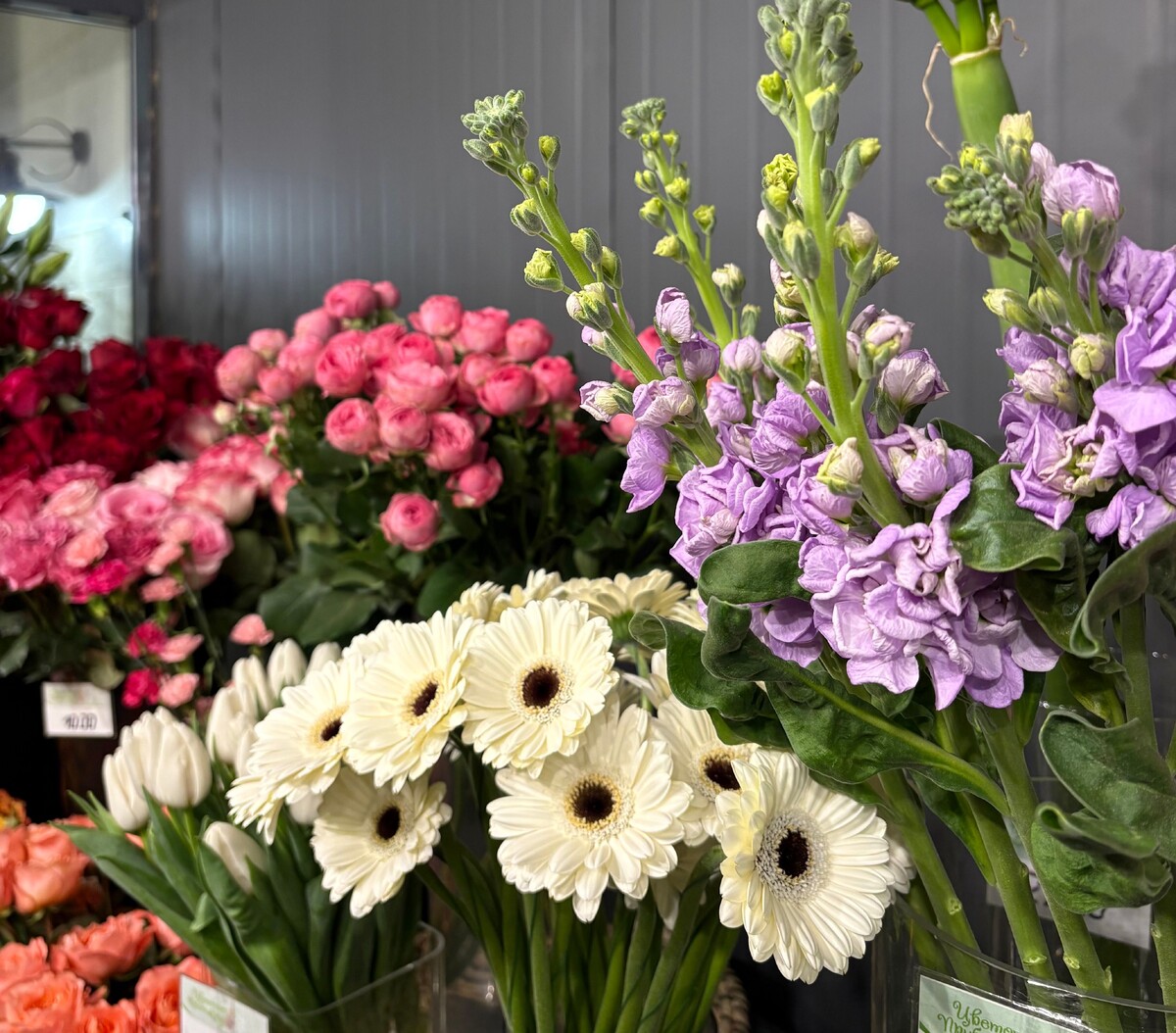  Ароматная маттиола и герберы. © Times.by