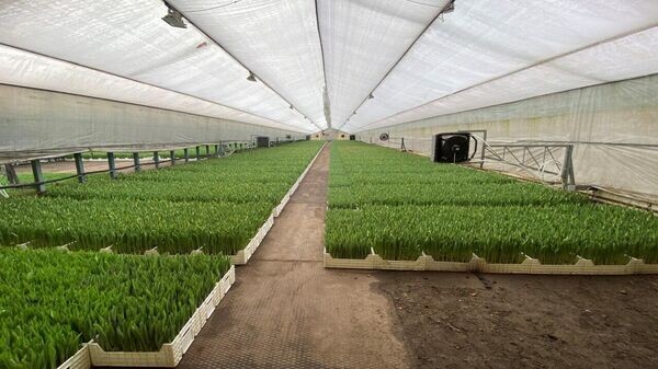    © Telegram / КГК Беларуси