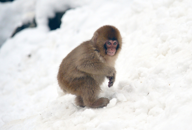    Shutterstock/FOTODOM