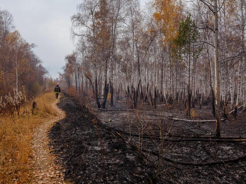 © Фото: Юлия Петренко | dlpinfo.org/fotoproject