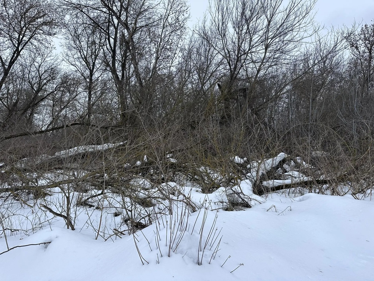 Фото: телеграм-канал Максима Левина
