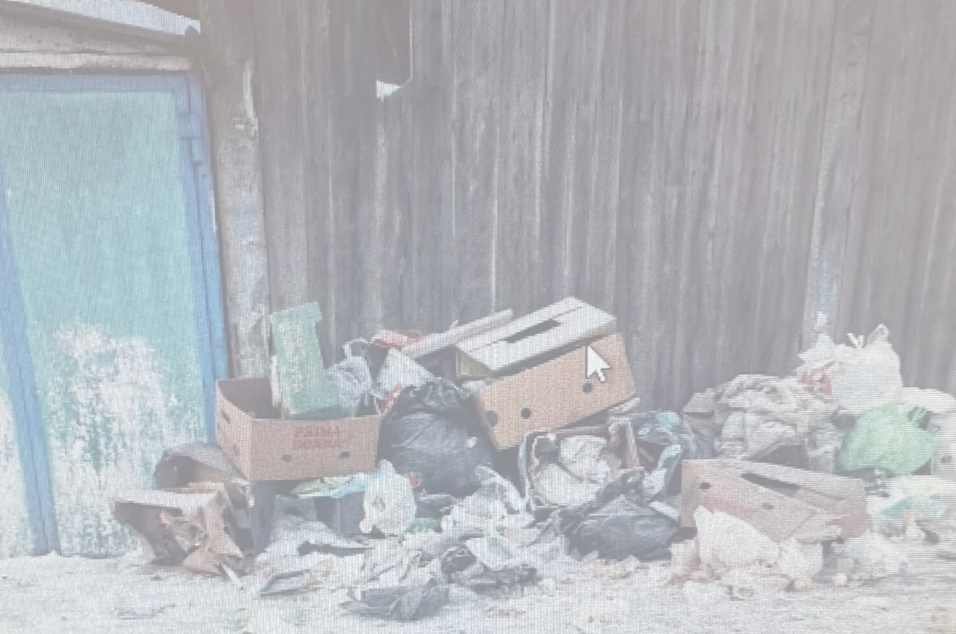    фото: открытые источники Редактор