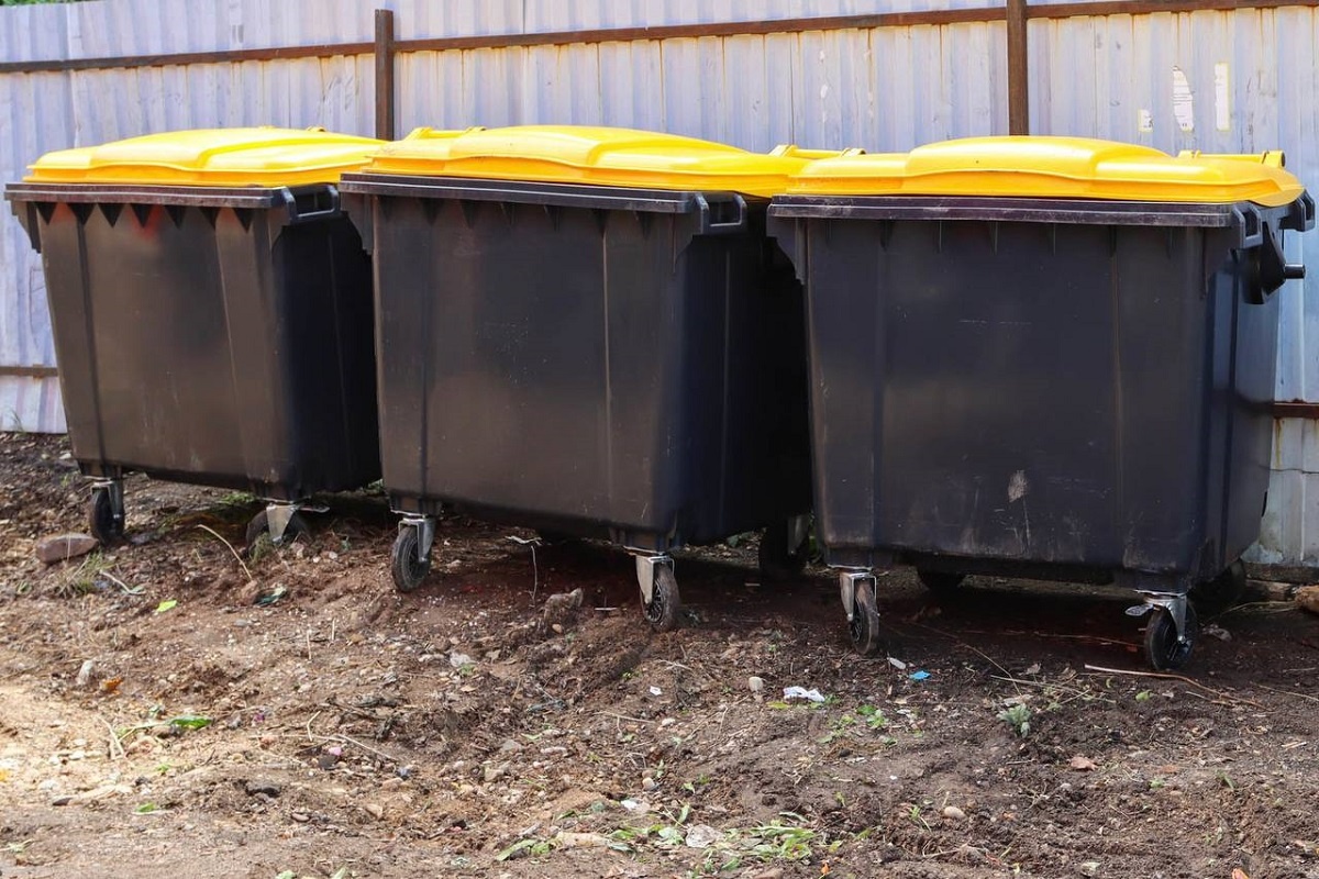    Фото: Tg-канал Александра Новикова