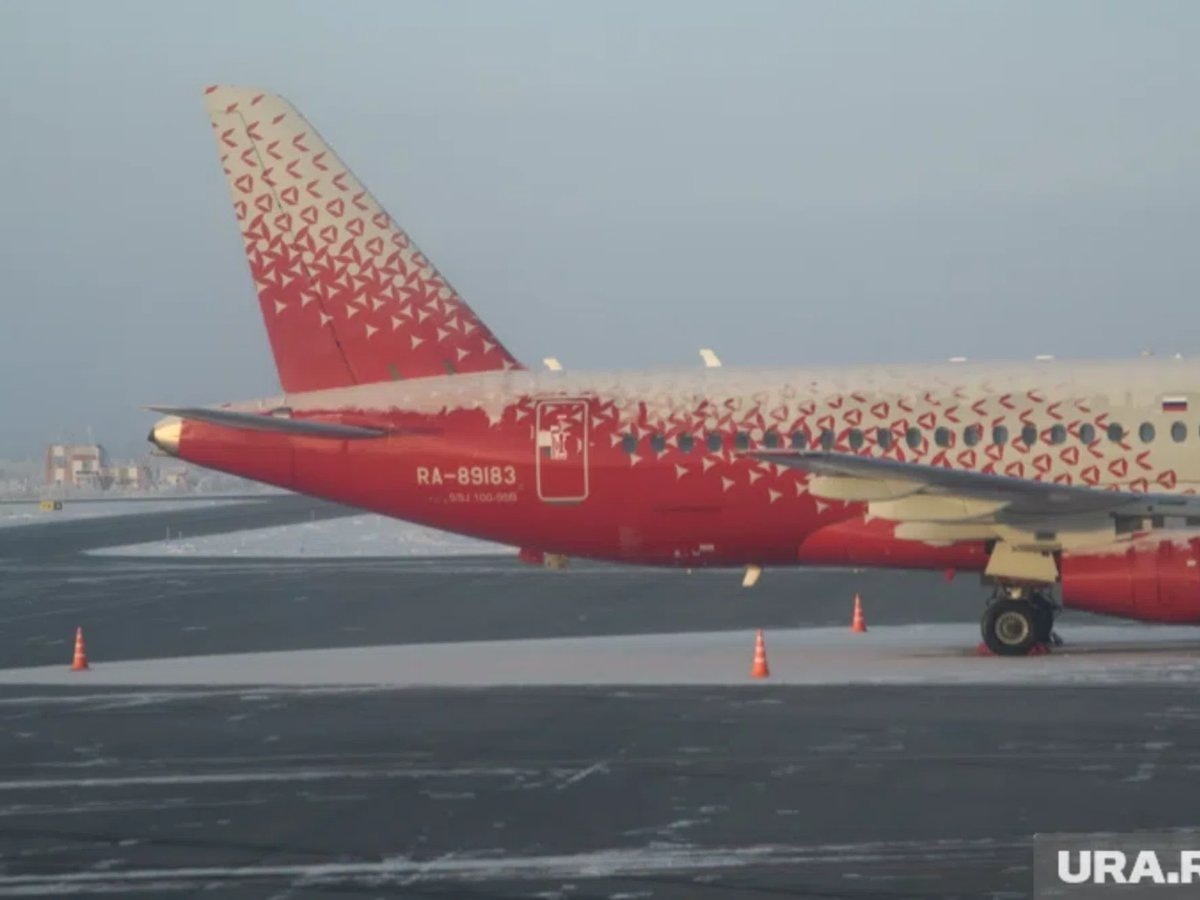     В крупных аэропортах России происходят задержки и отмены рейсов