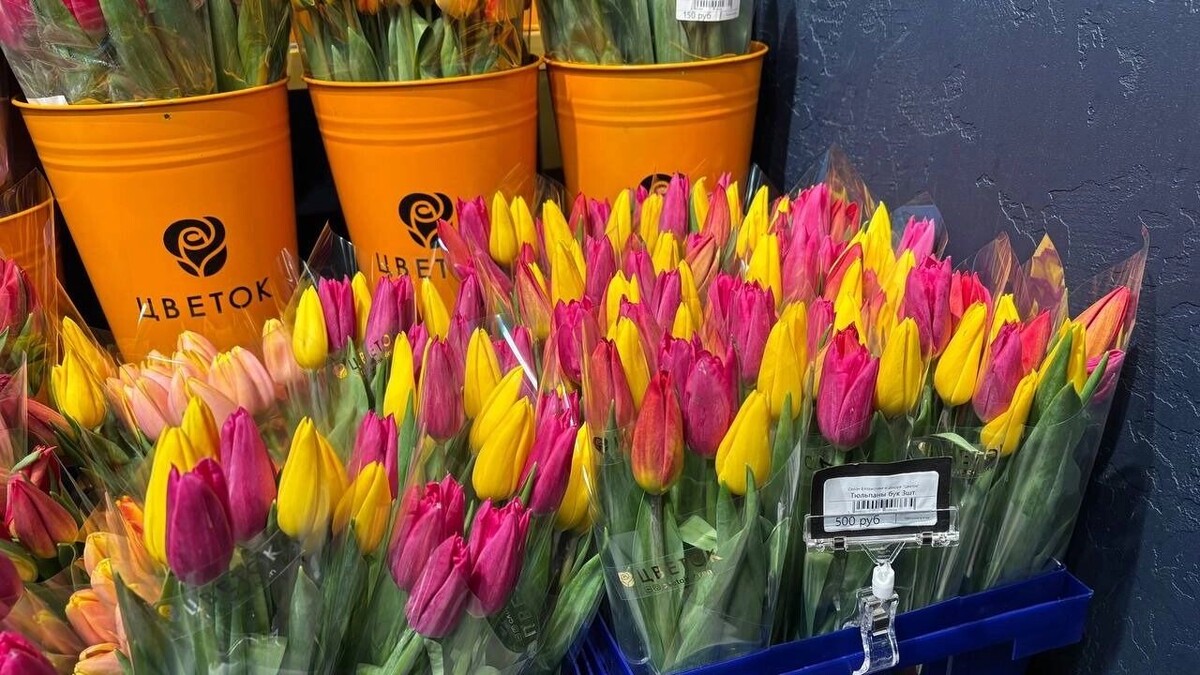   Тюльпаны подорожали к 8 Марта   56orb.ru