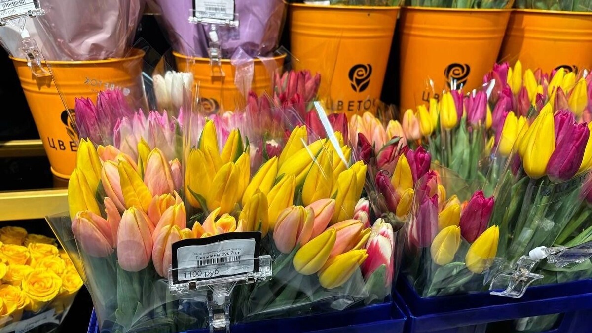    Тюльпаны подорожали к 8 Марта   56orb.ru