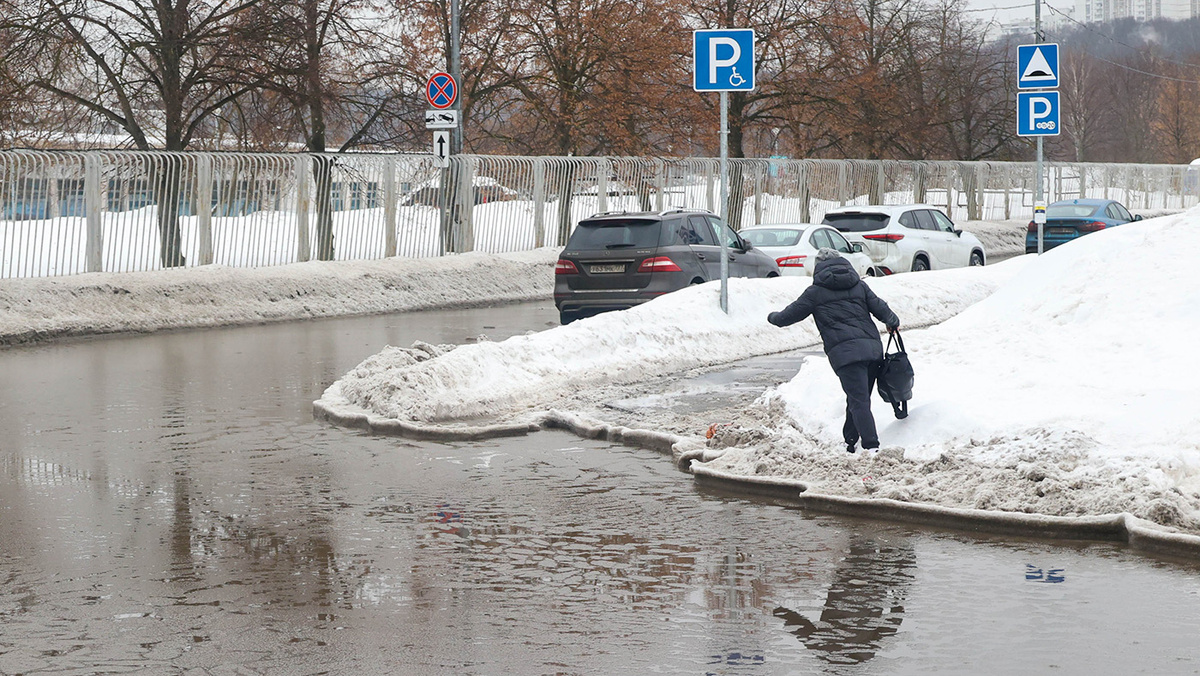   Ярослав Чингаев / Агентство «Москва»