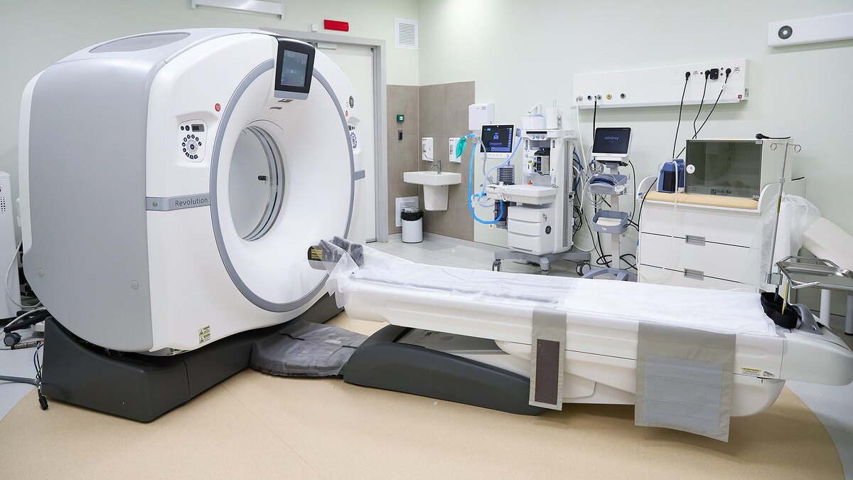    Фото: ИЗВЕСТИЯ/Полина Фиолет