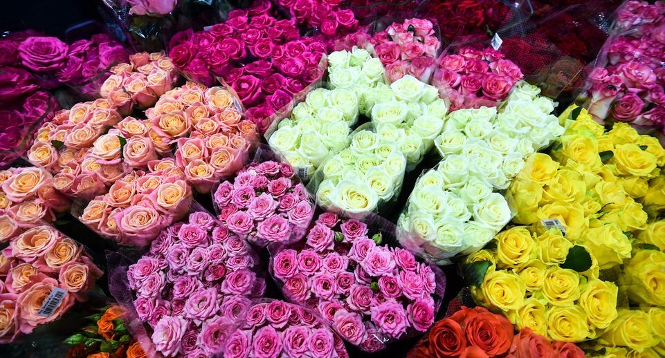    Медиасток.рф