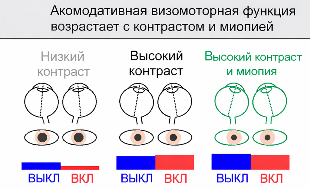    В ходе исследования было установлено, что ключевым фактором риска развития миопии является недостаточное время пребывания на свежем воздухе