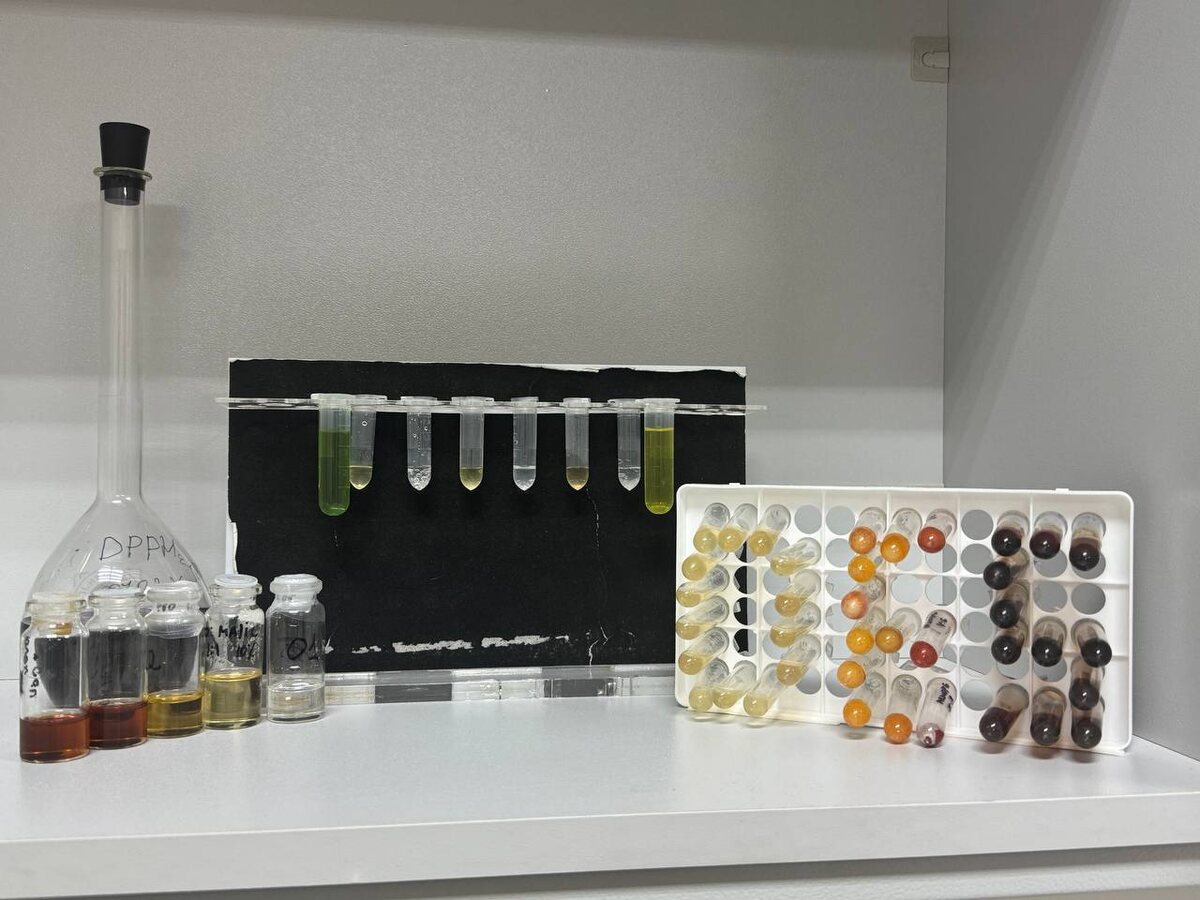 Готовые эвтектические экстракты. Источник: Андрей Шишов