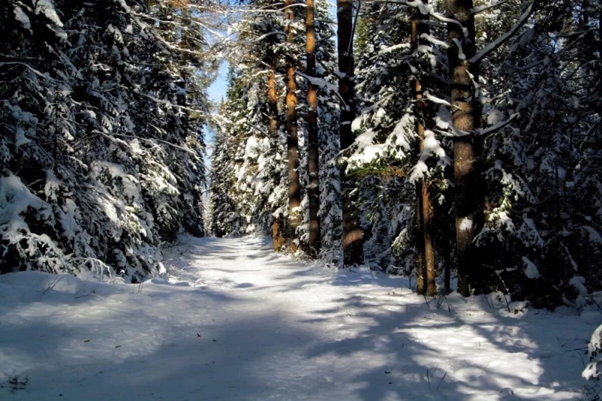    Национальному парку «Таганай» исполнилось 35 лет