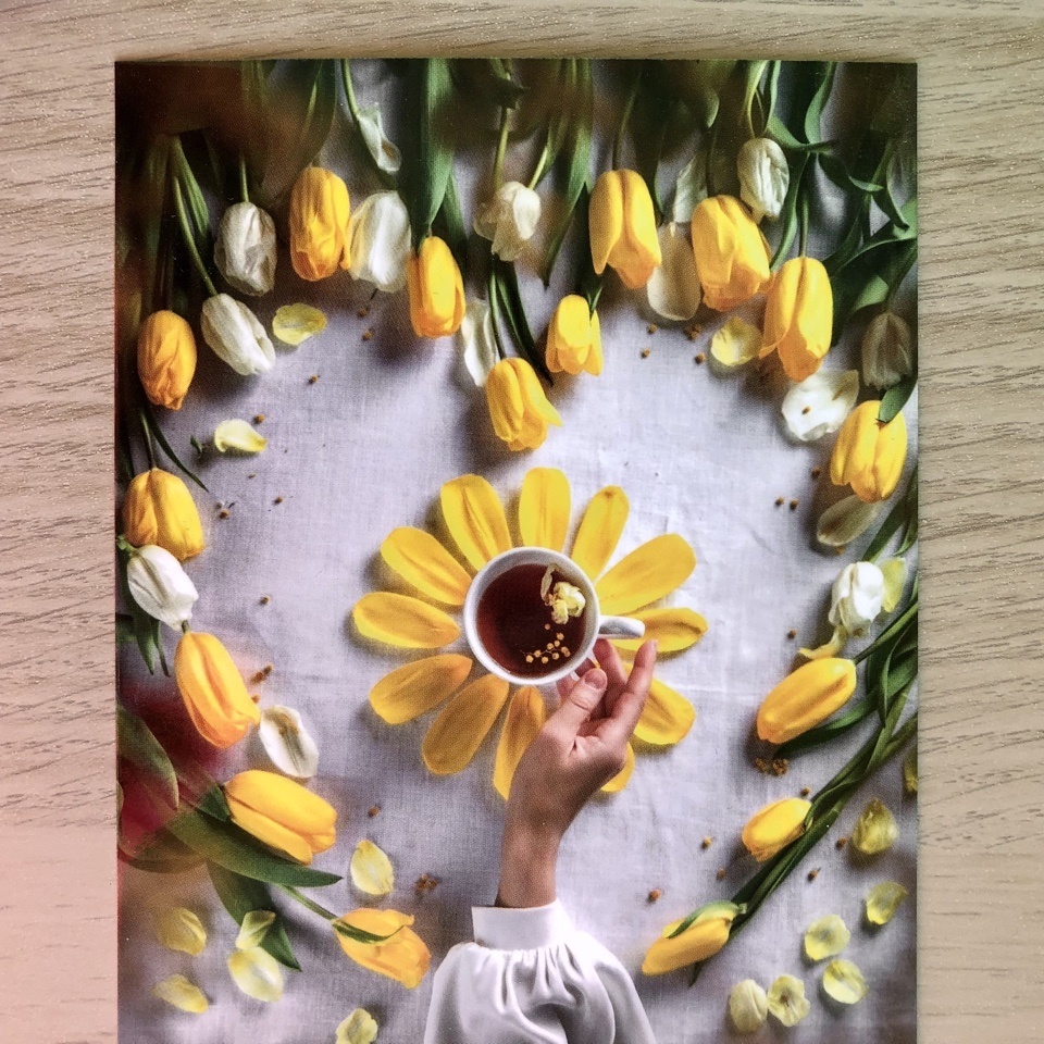 Тюльпаны прилетели из Ярославля.