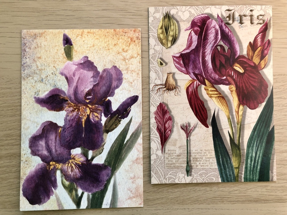 Из Ликино-Дулево Московской области и из Ижевска.