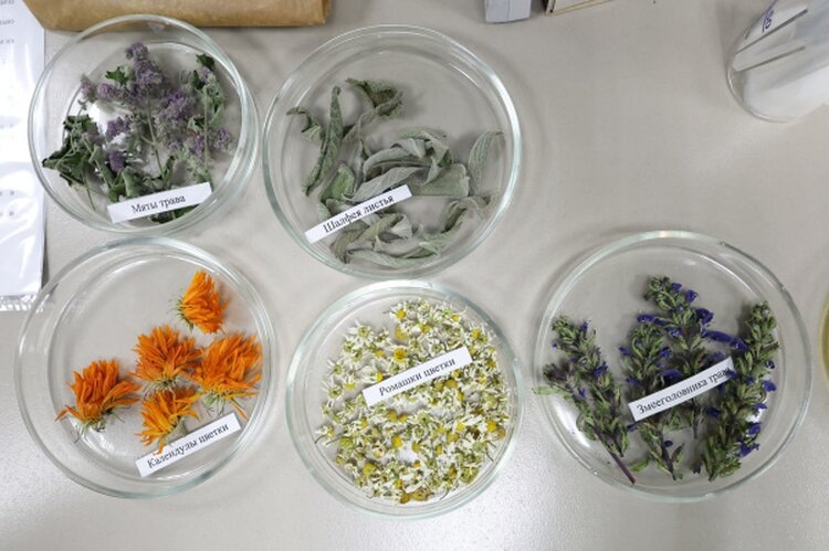    Фото: БГСХА