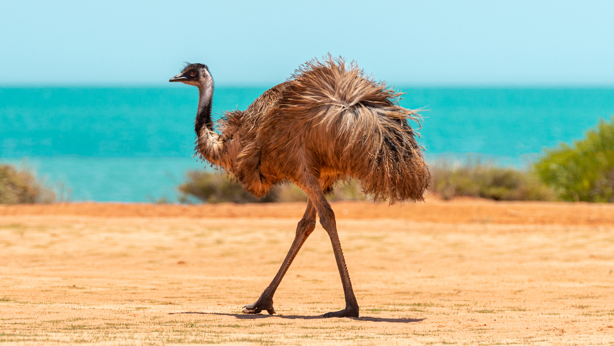 Фото из свободных источников.