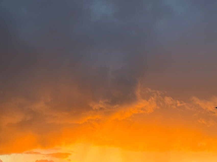 Фото сделано во время вечерней прогулки по улице Парфеновской, в центре города, среди многоэтажек и верениц автомобилей. Листайте галерею.
