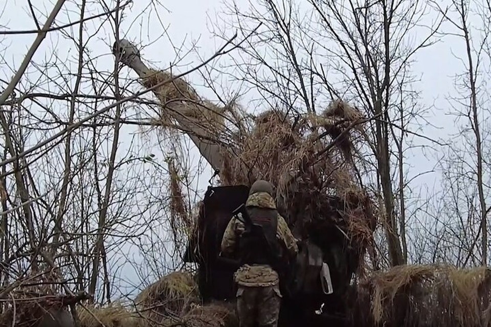    Артиллерия работает по лесопосадкам у Веселянки. Фото: Минобороны РФ