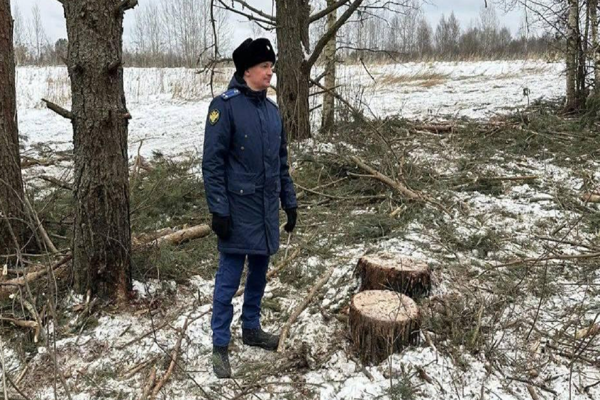    Фото: пресс-служба, источник: прокуратура Псковской области