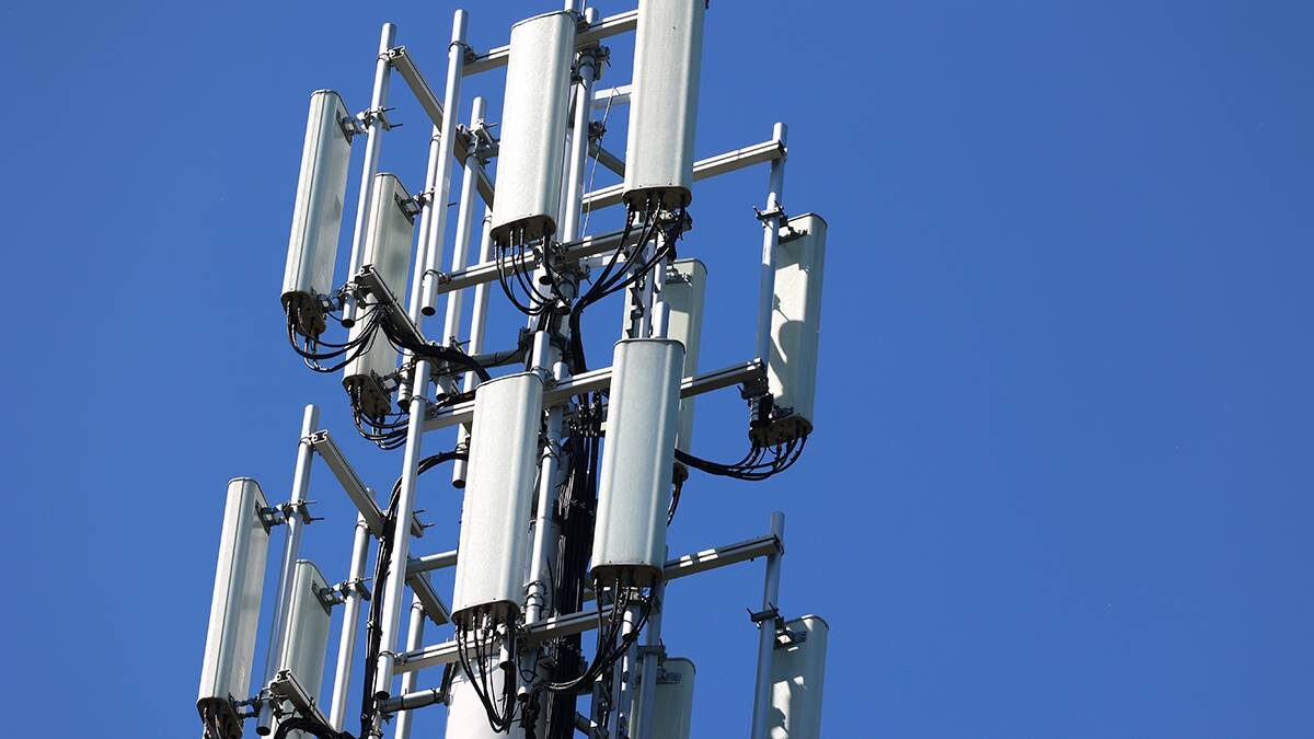    Фото: Shutterstock