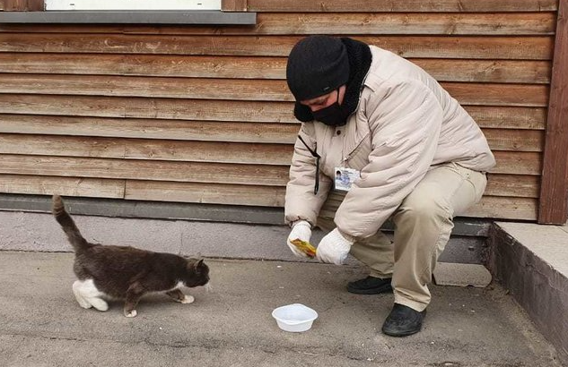Синдром спасателя: как правильно помогать уличным котам, чтобы не сделать им хуже