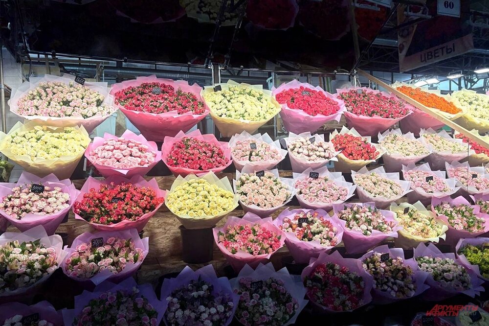    Фото: АиФ/ Егор Борзов/Олег Морозов