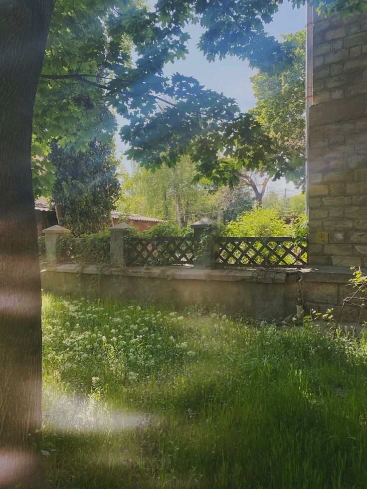 #любовь #романтика #семьи #дети 