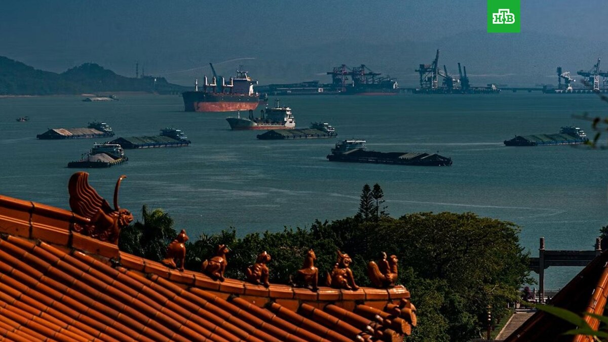    Фото: Zheng XUE / unsplash.com