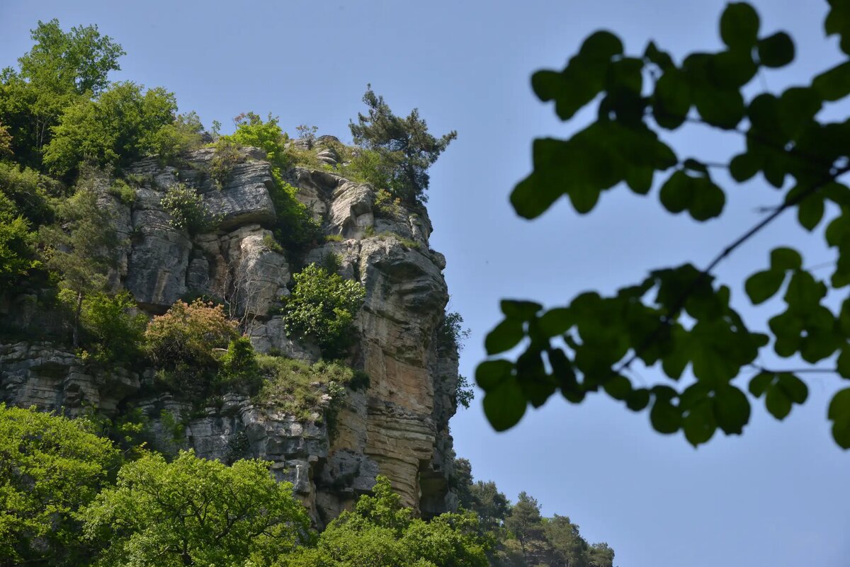     © РИА Новости. Игорь Онучин