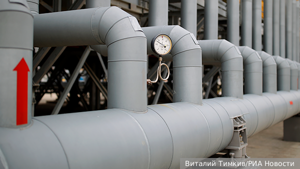     Фото: Виталий Тимкив/РИА Новости   
 Текст: Вера Басилая