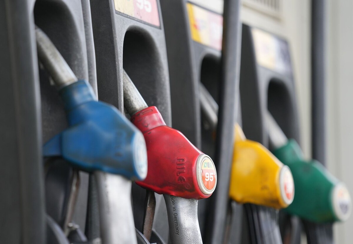     / Источник: © ИЗВЕСТИЯ/Дмитрий Коротаев