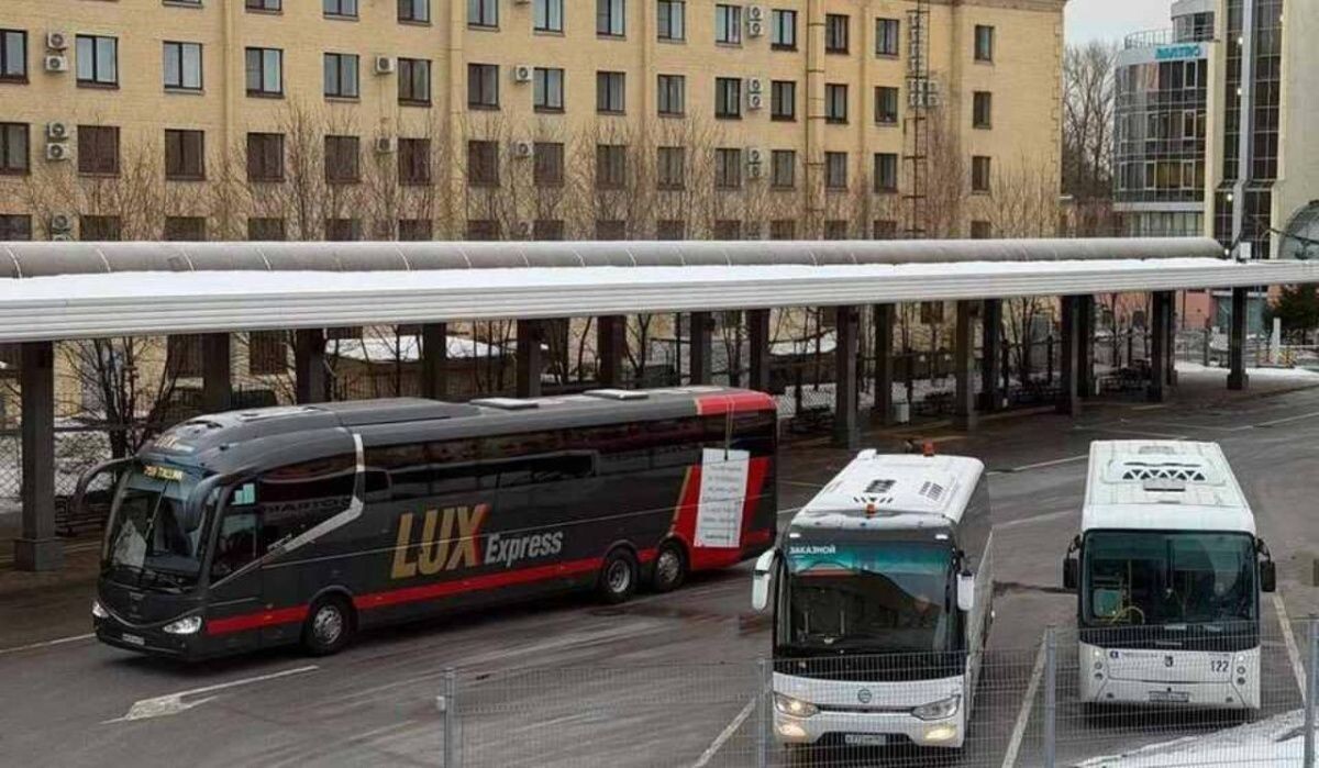     Автобусы. Источник: spb.kp.ru Автор фото: Пресс-служба Комтранса СПб