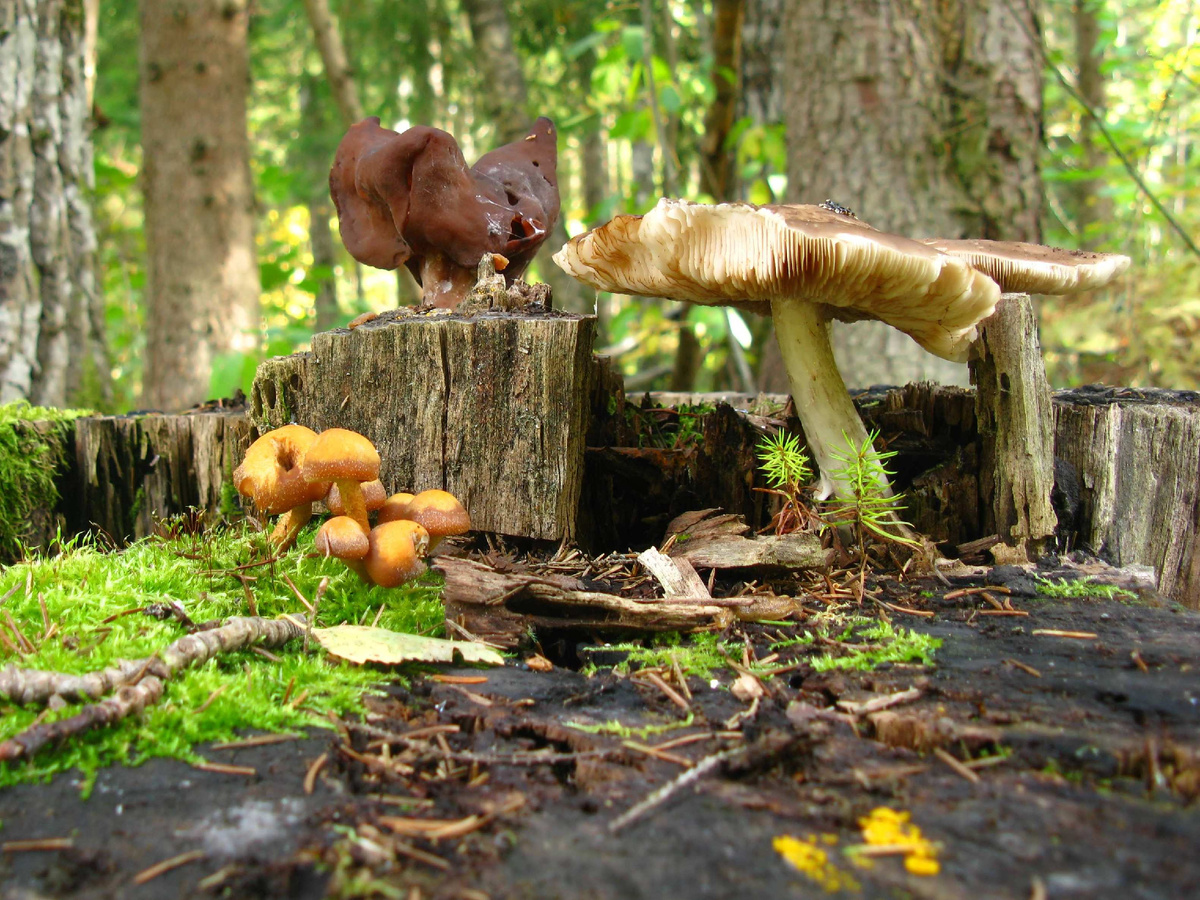 Фото Лидии Бам