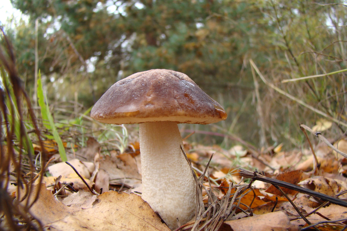 Фото Лидии Бам