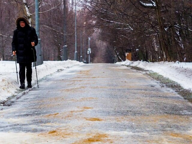    Фото: Москва 24/Лидия Широнина