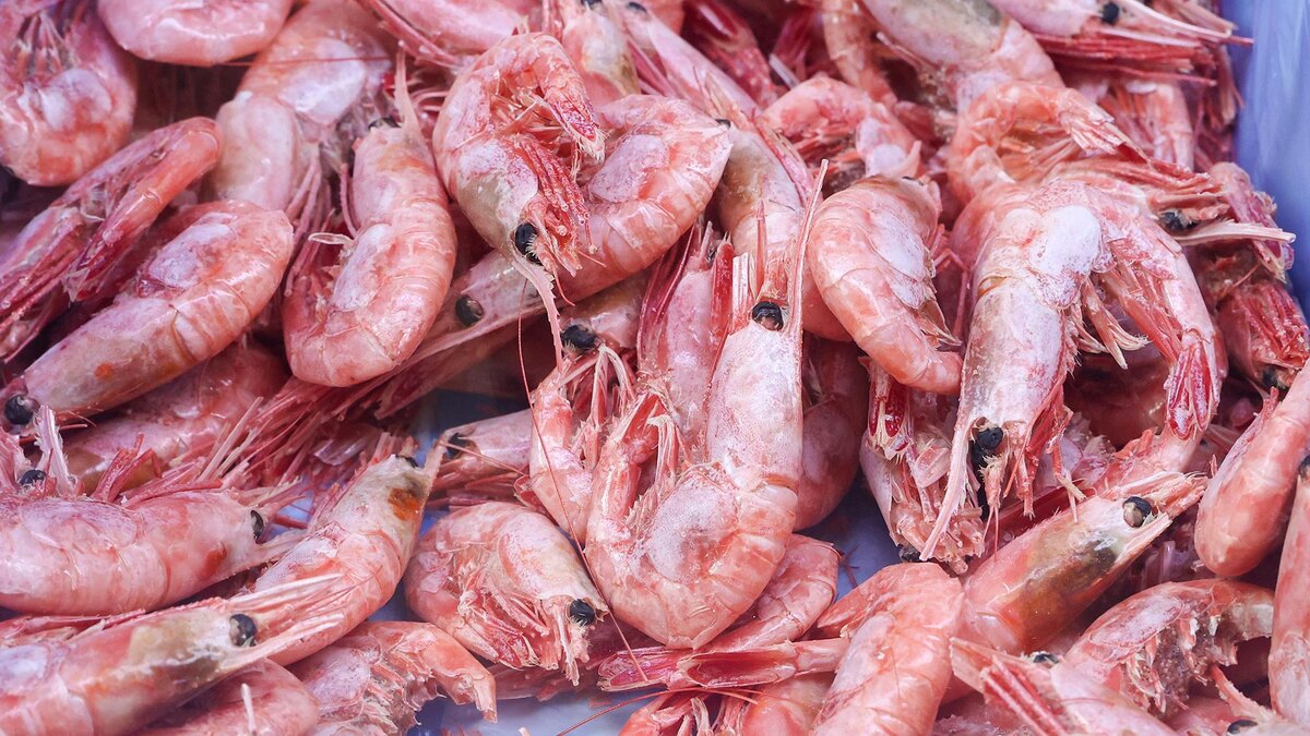    Фото: Petrov Sergey/globallookpress.com