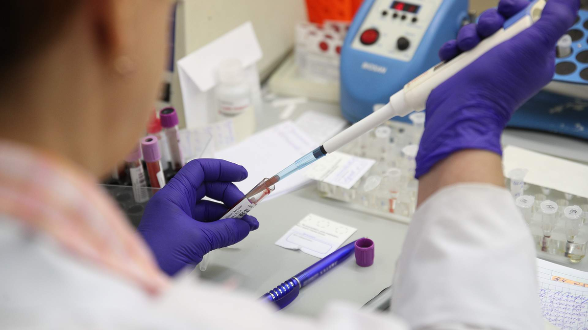 Фото: ИЗВЕСТИЯ/Зураб Джавахадзе