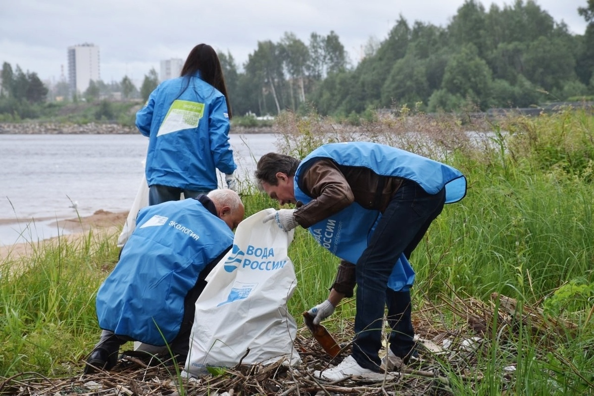    фото: © Минприроды Карелии / VK