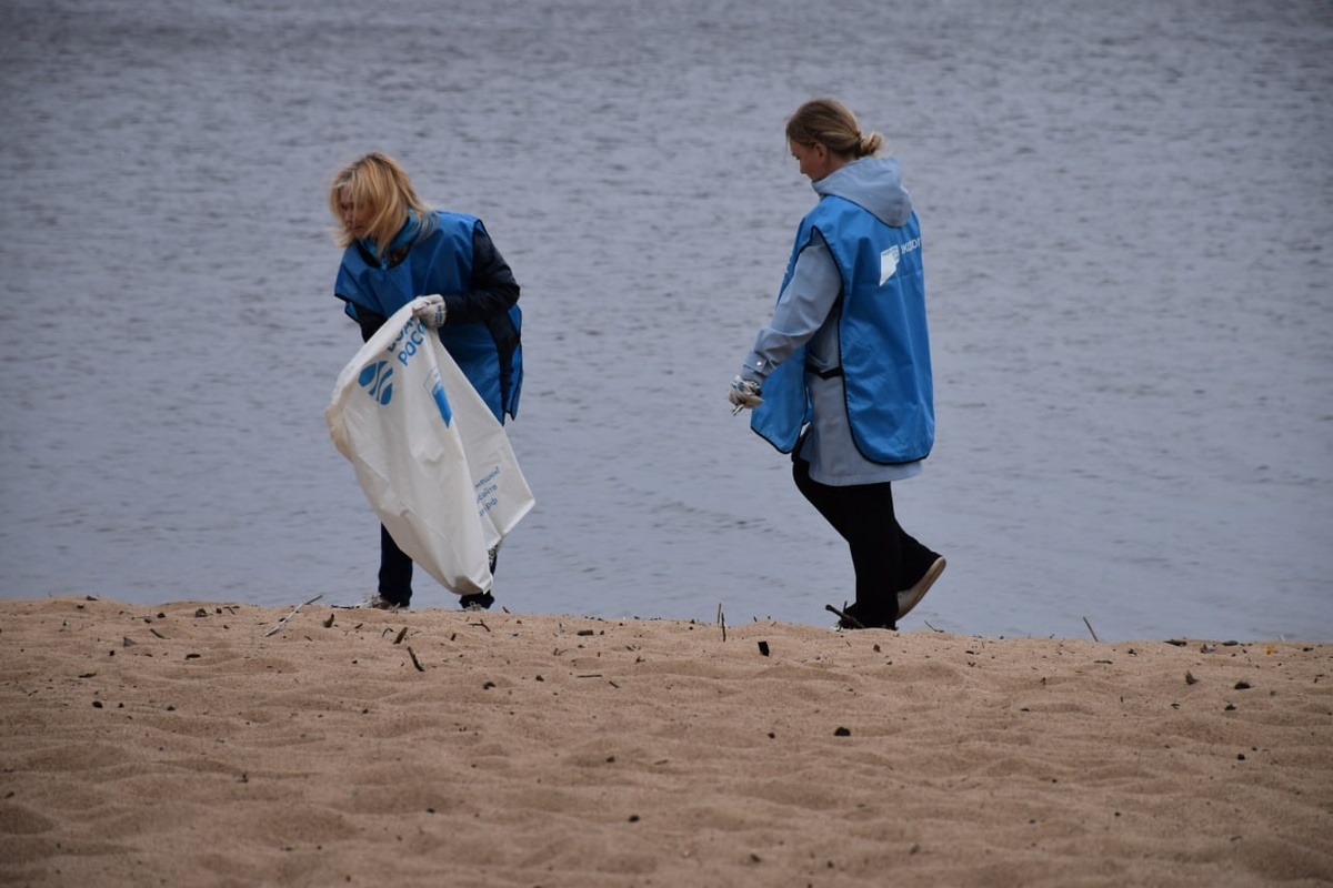    В Карелии приведут в порядок более 100 км береговой линии рек и озер© Минприроды Карелии / VK