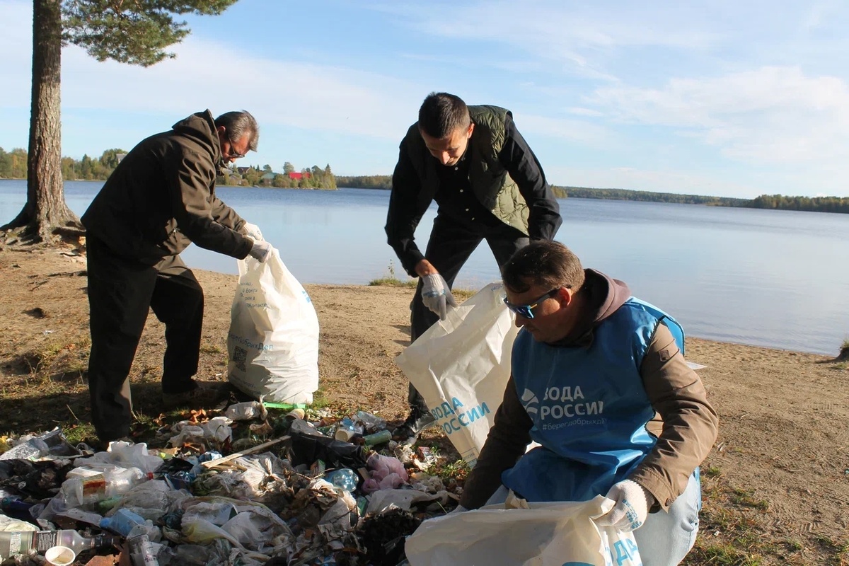    В Карелии приведут в порядок более 100 км береговой линии рек и озер© Минприроды Карелии / VK