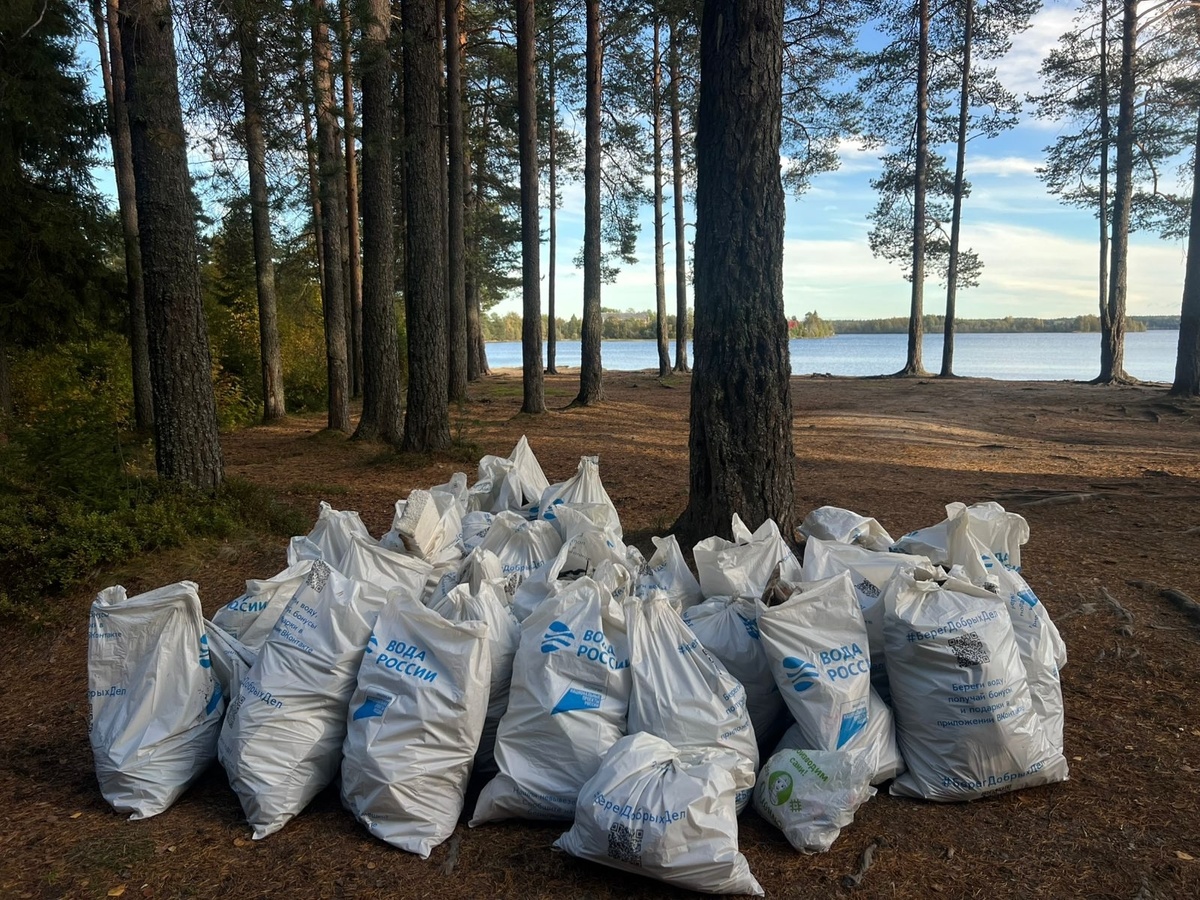    В Карелии приведут в порядок более 100 км береговой линии рек и озер© Минприроды Карелии / VK