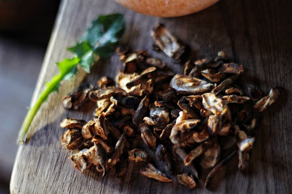 Фото: Скриншот дзен-канал «Живые вещи» 