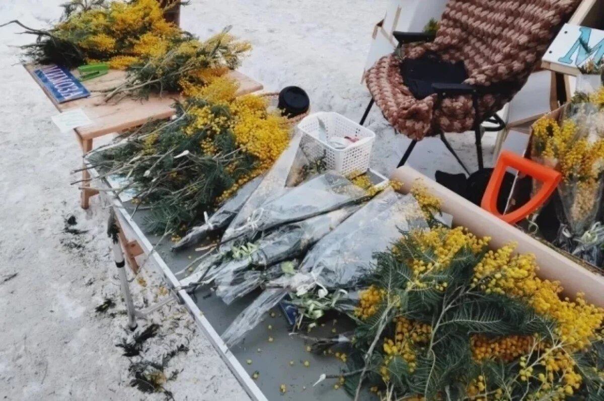    В Томске начали появляться мимозы и тюльпаны к 8 марта