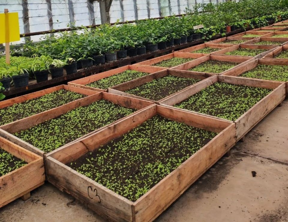 Фото администрации города Тамбова