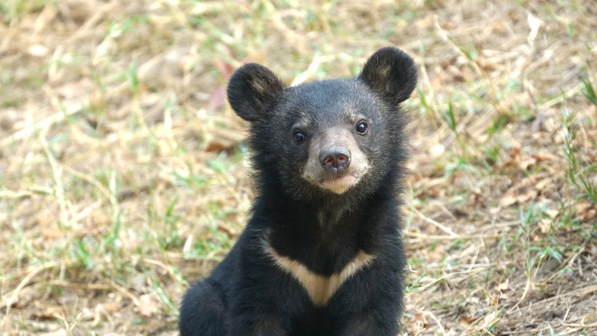    Фото несет иллюстративный характер