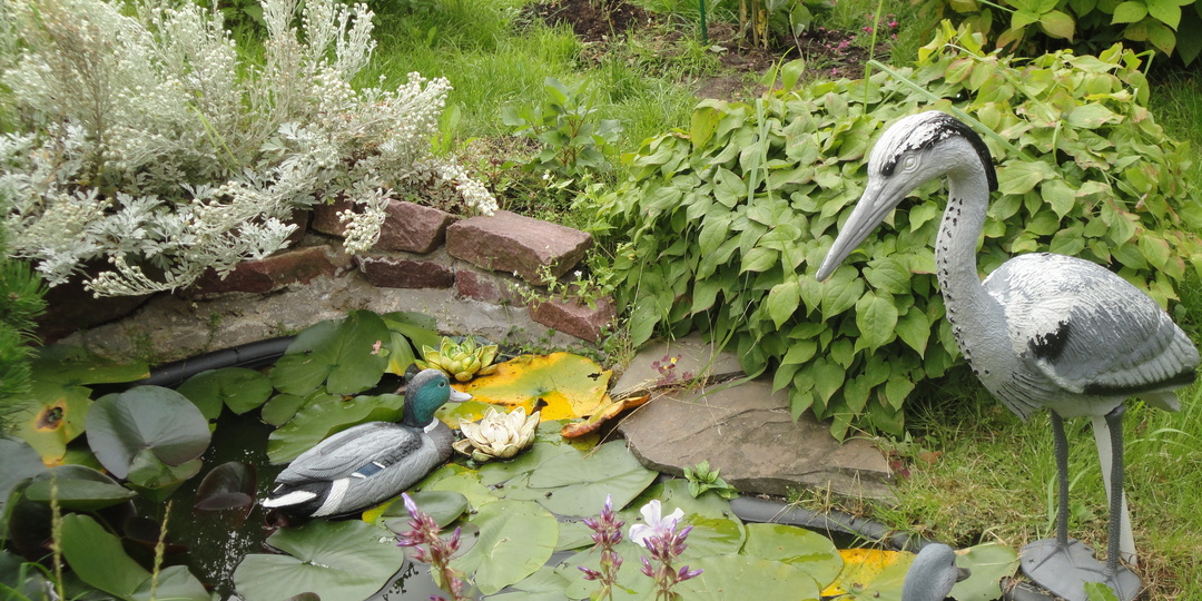 Почему дача — это опасное место?