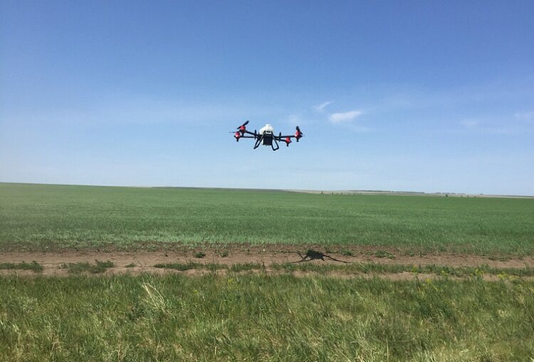    Фото: Минсельхоз Алтайского края